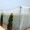 เรือนกระจก PE Plant Anti Insect Screen